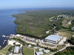 Pineland Marina - Aerial View